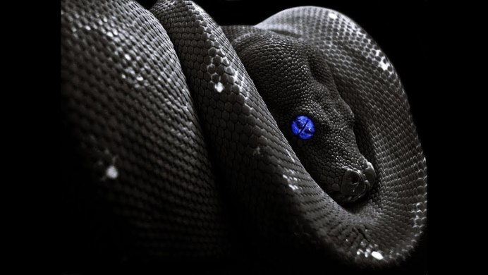 Экзотический массаж змеями