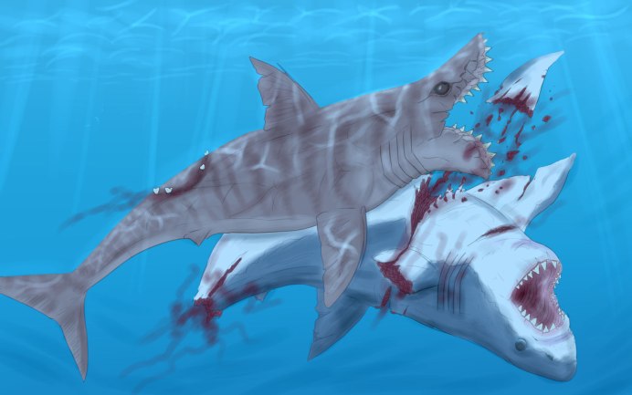 Акулы-гадюки (Trigonognathus kabeyai)