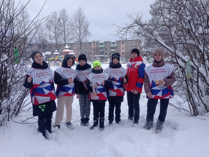 Индийский скворец майна