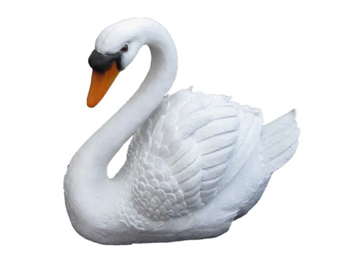 Лебедь на белом фоне