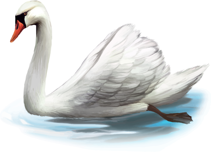 Лебедь в полете