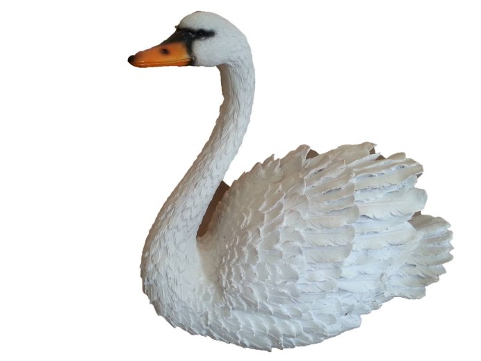 Лебедь на прозрачном фоне