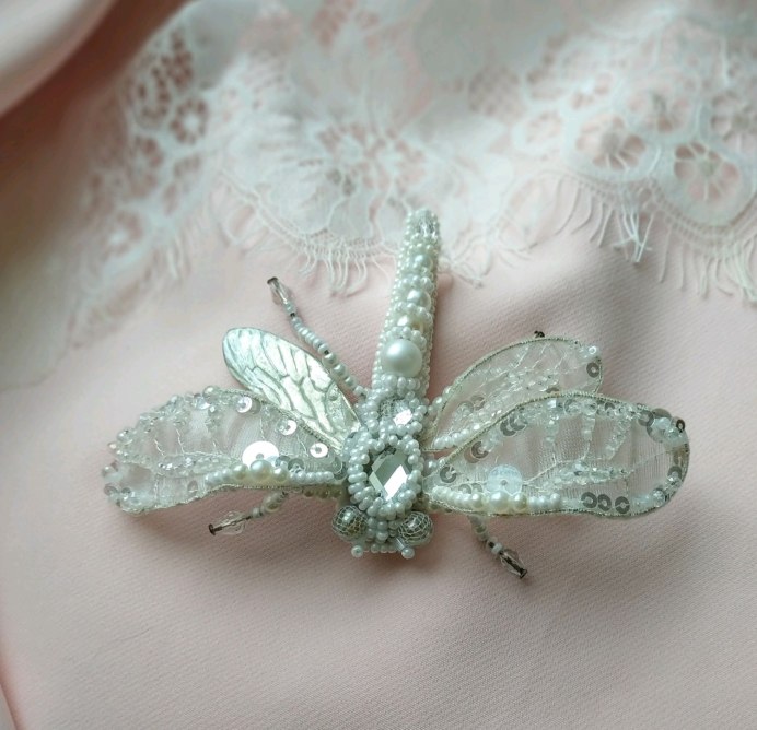 Стрекоза насекомое коллекция