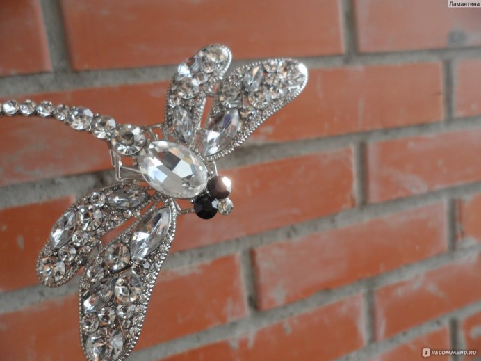 Личинка равнокрылой Стрекозы