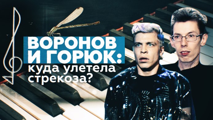 Стрекоза Libellulidae