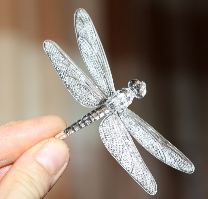 Образ жизни стрекоз