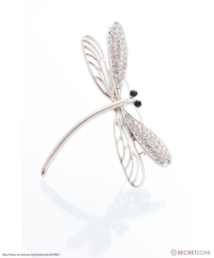 Стрекоза фото