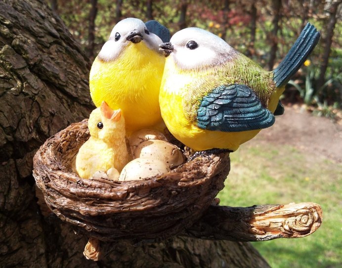 Птицы в саду