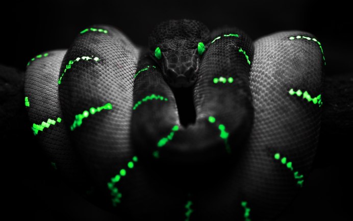 Razer Snake Snake Plushie