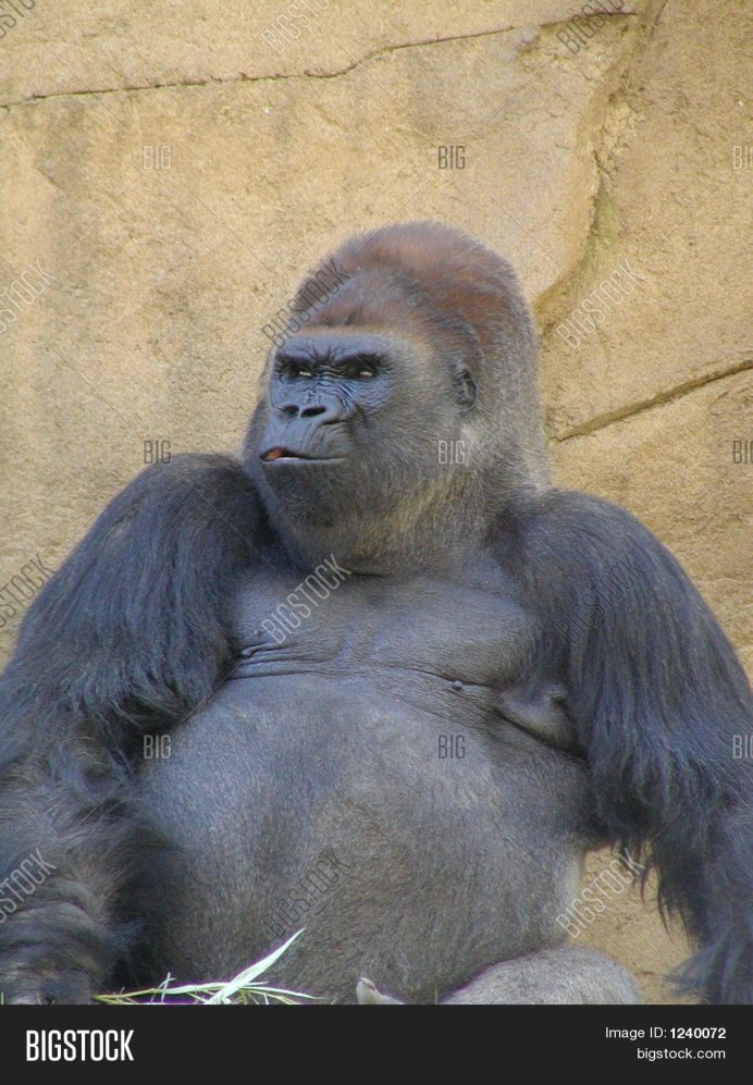 Вирунга фильм 2014