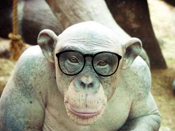 Обезьяна без шерсти