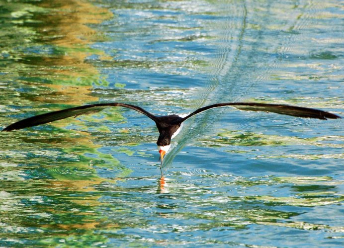 Водорез на корабле