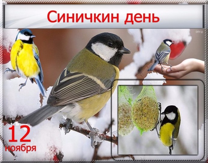 Синица лазоревка пение