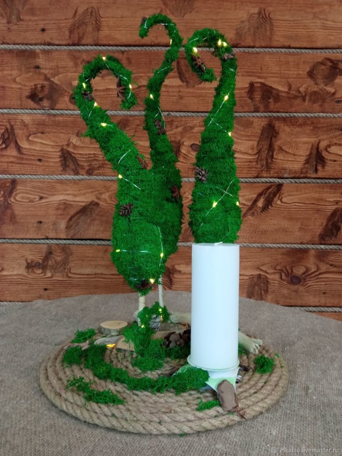 Перелётные певчие птицы Подмосковья