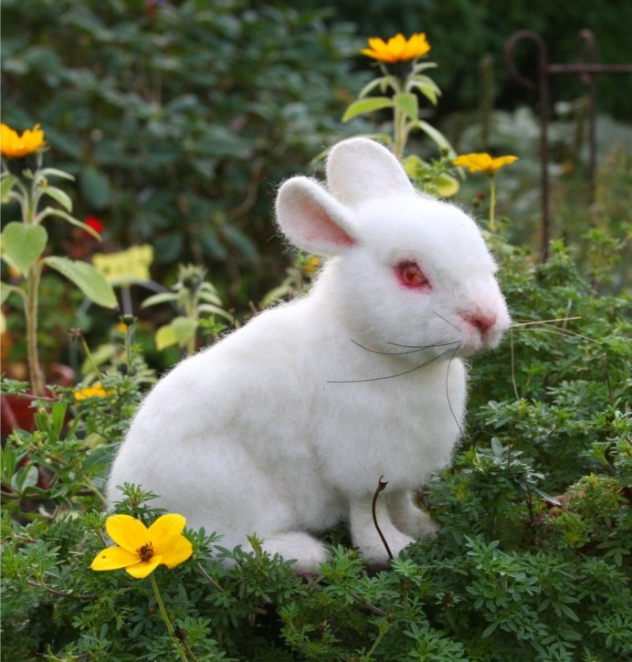 Декоративный кролик альбинос
