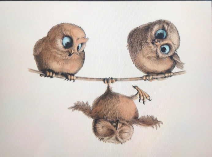 Певчие воробьиные Дрофа