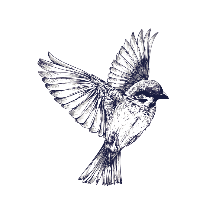 Светлый Воробей