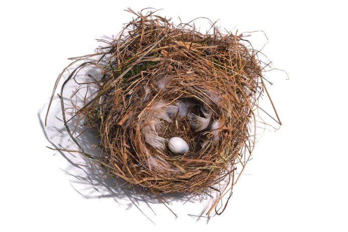 Карточка Nest-гнездо