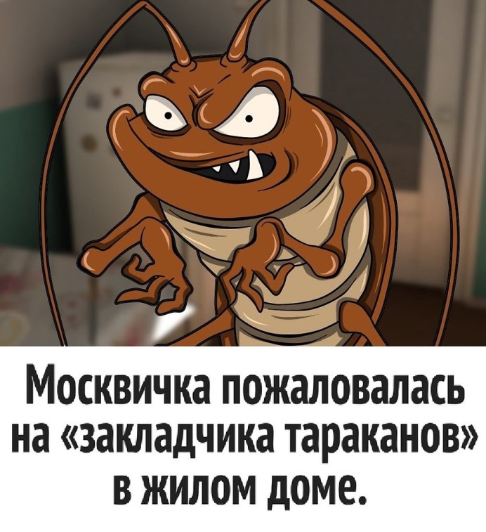 Перец мексиканский мультяшный