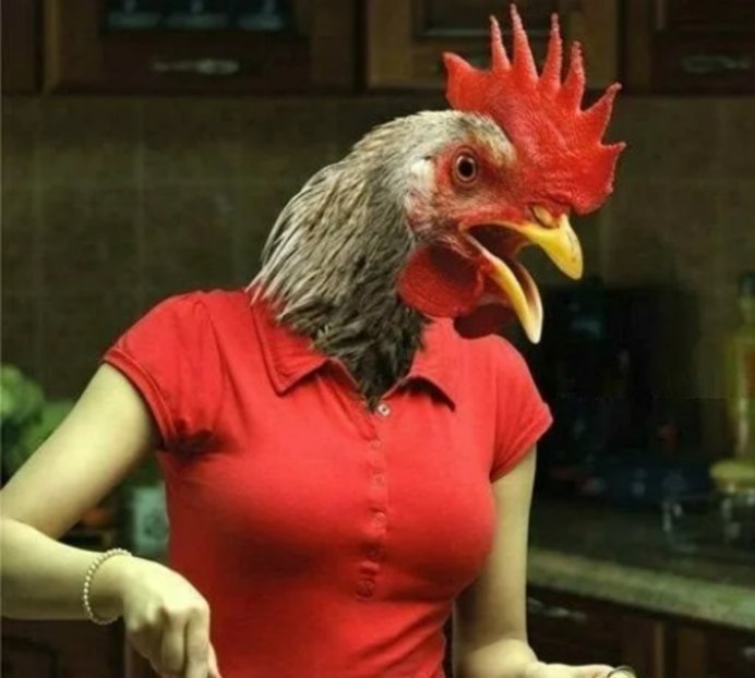 Баба курица