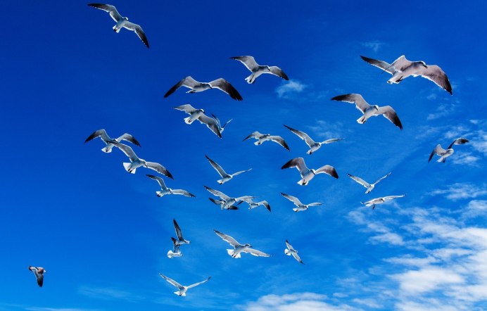 Журавлиный Клин осенью