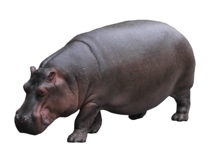 Schleich Бегемот 14814