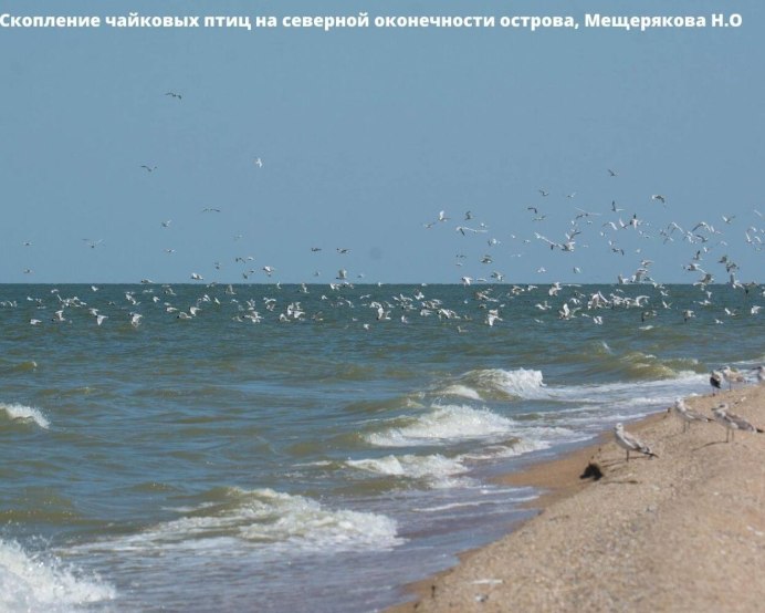 Ильменно Бугровой заказник Астраханская область