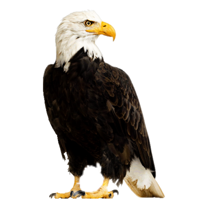 Белоголовый Орлан Emoji