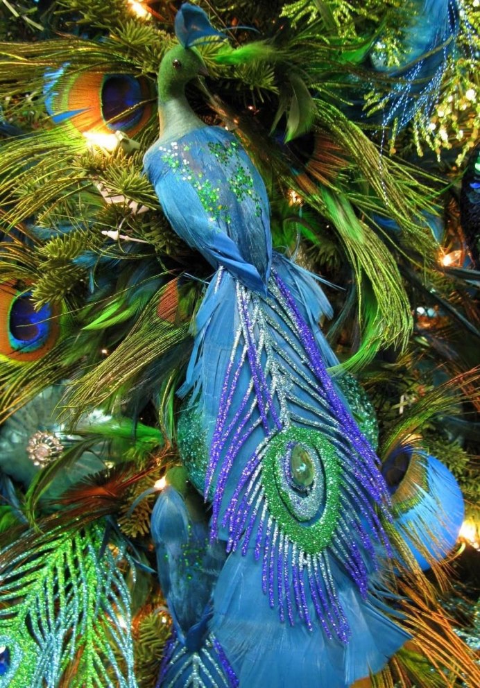 Нитчатая Райская птица