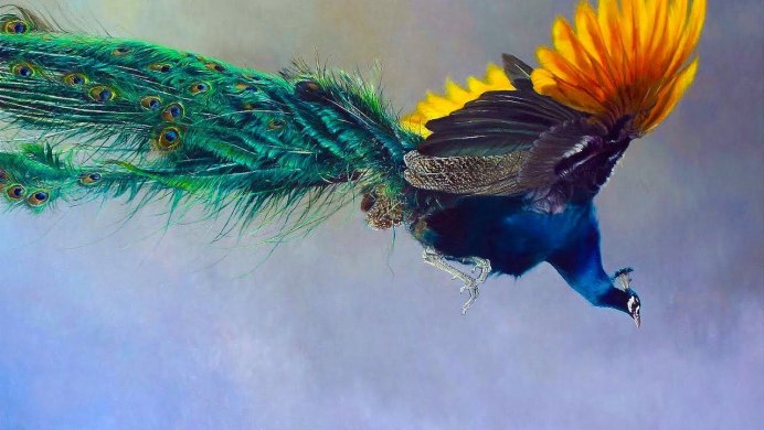 Щитоносная Райская птица Виктории