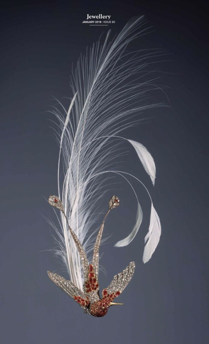 Чудная Райская птица Lophorina superba