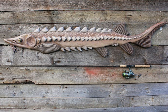 Форель Бессер