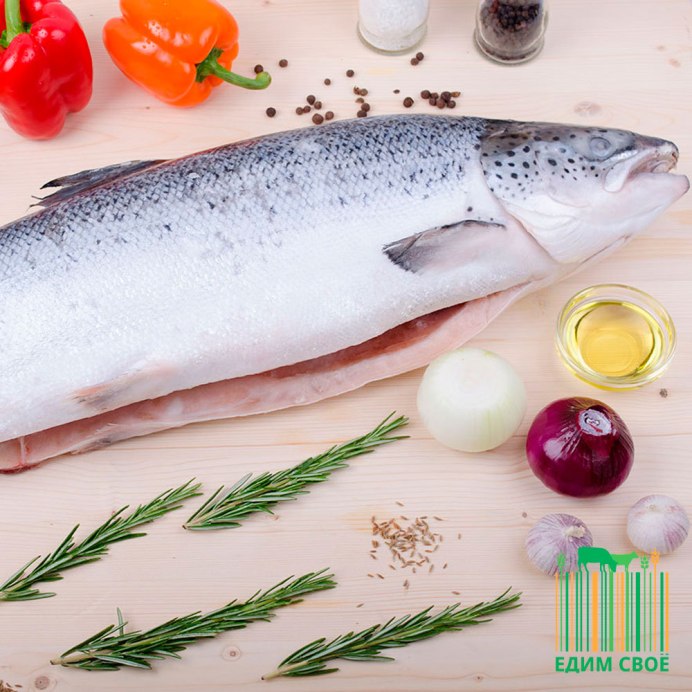 Форель кижуч