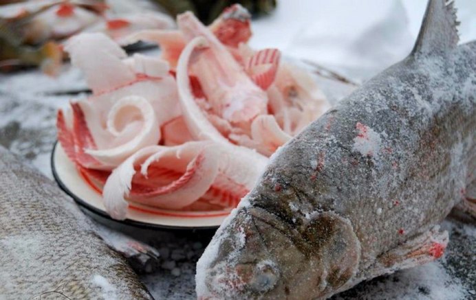 Белуга + стерлядь = Бестер