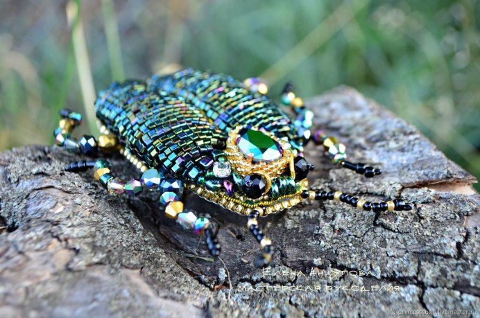 Cyphochilus Жук