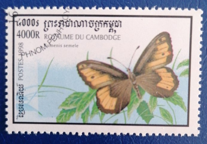 Hipparchia Autonoe