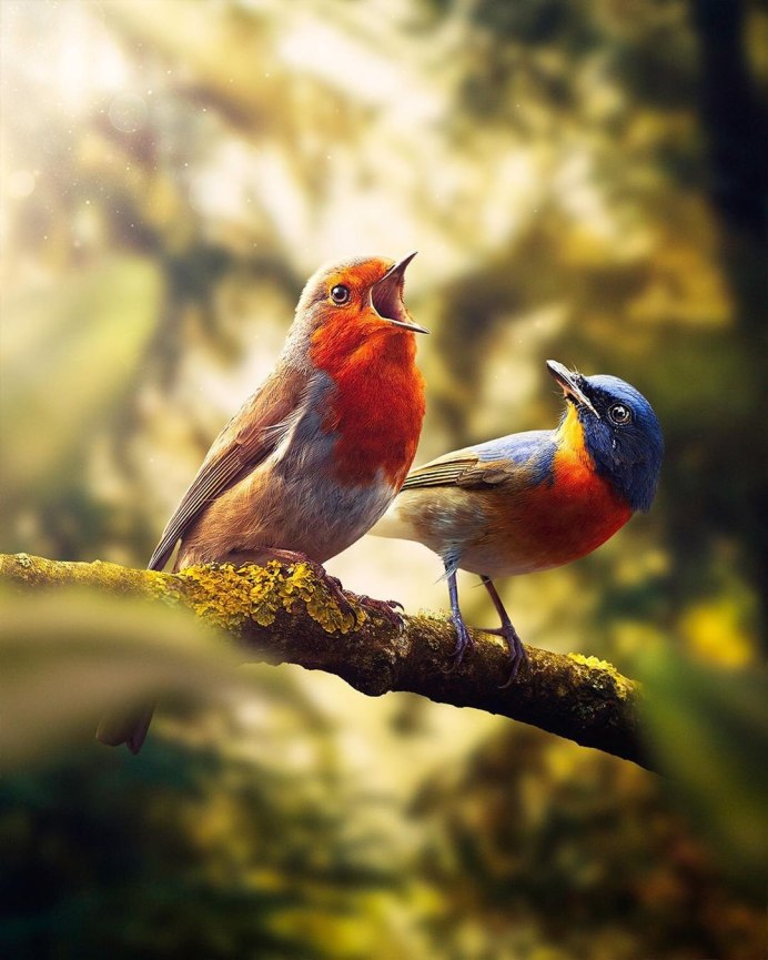 Птичка на ветке