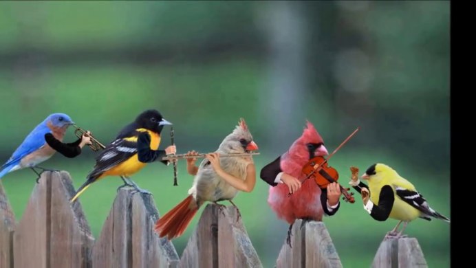 Птички щебечут