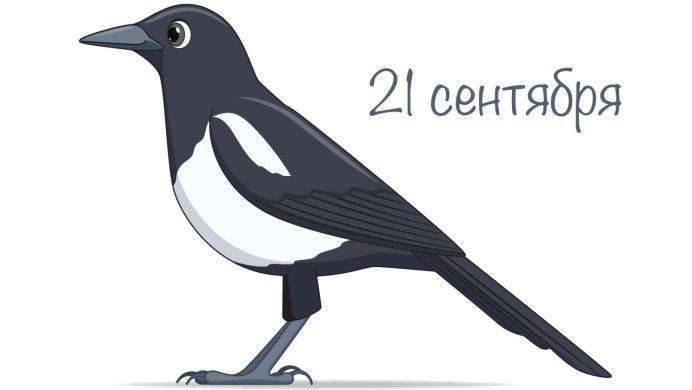 Голубая сорока на белом фоне