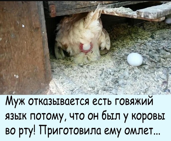 Нюхатель яиц профессия