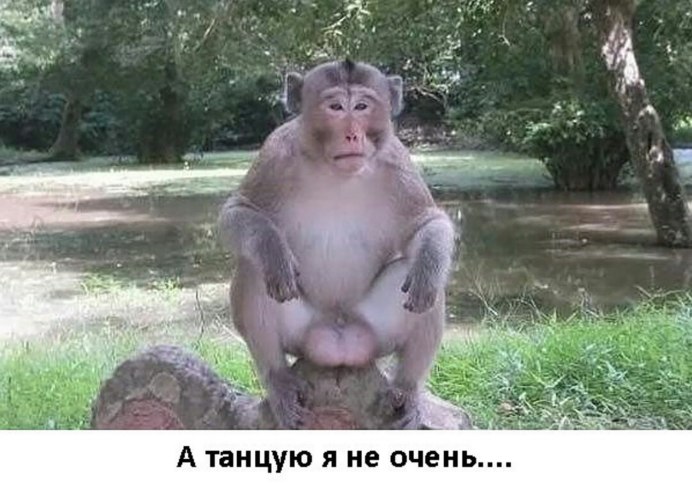 Курятник Курочка Ряба