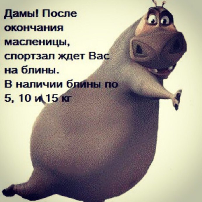 Маленький толстый Бегемотик
