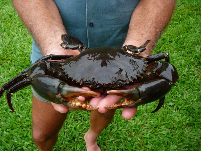 Автомобиль Green Crab