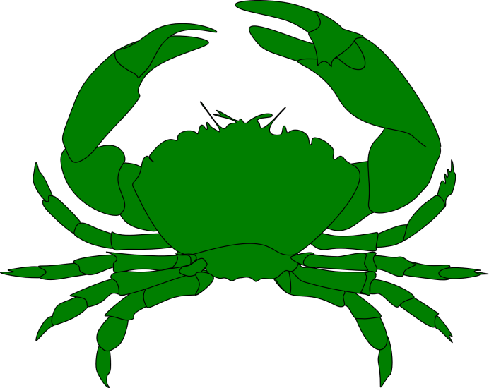 Carcinus Maenas