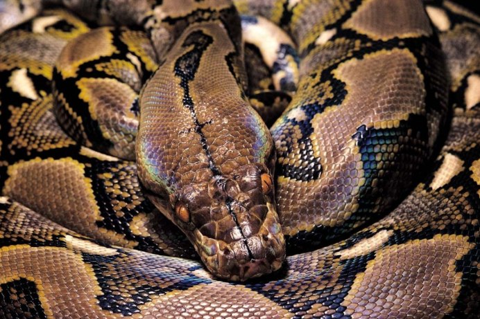 SCPI Python