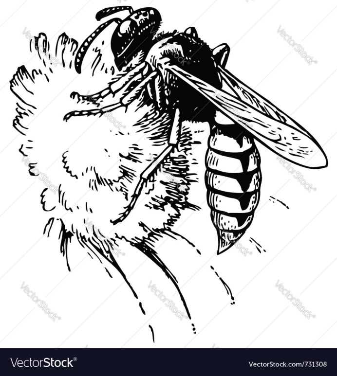 Vespa mandarinia гнездо
