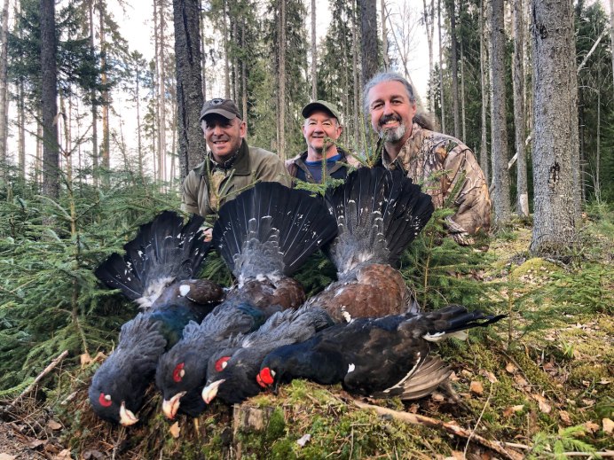 Глухарь птица самка