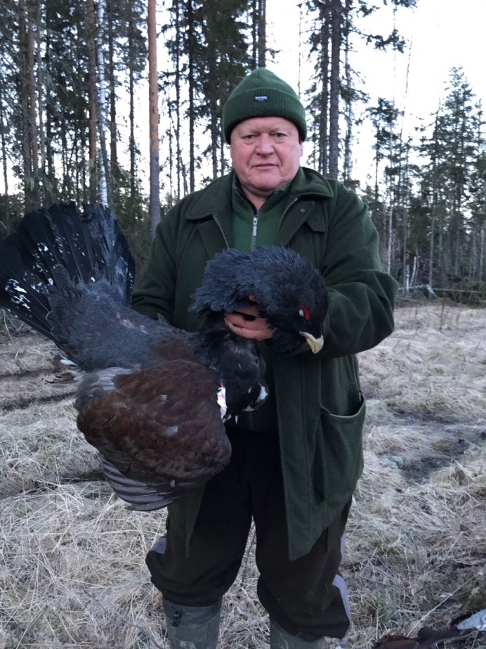 Весенняя охота на глухаря
