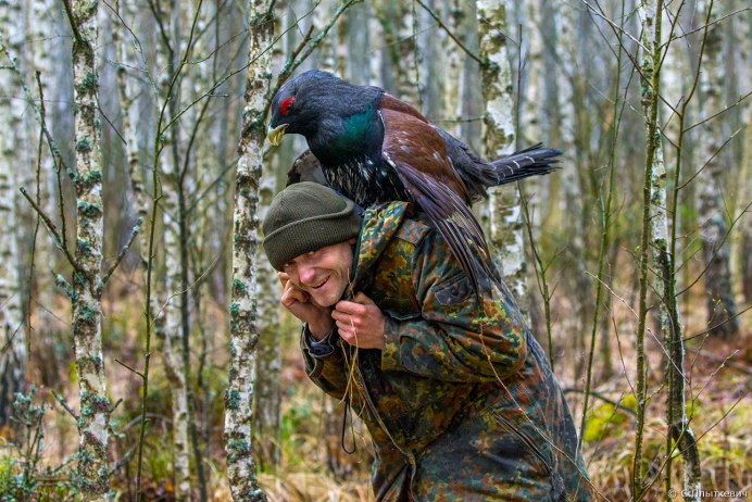Лесные птицы для охоты