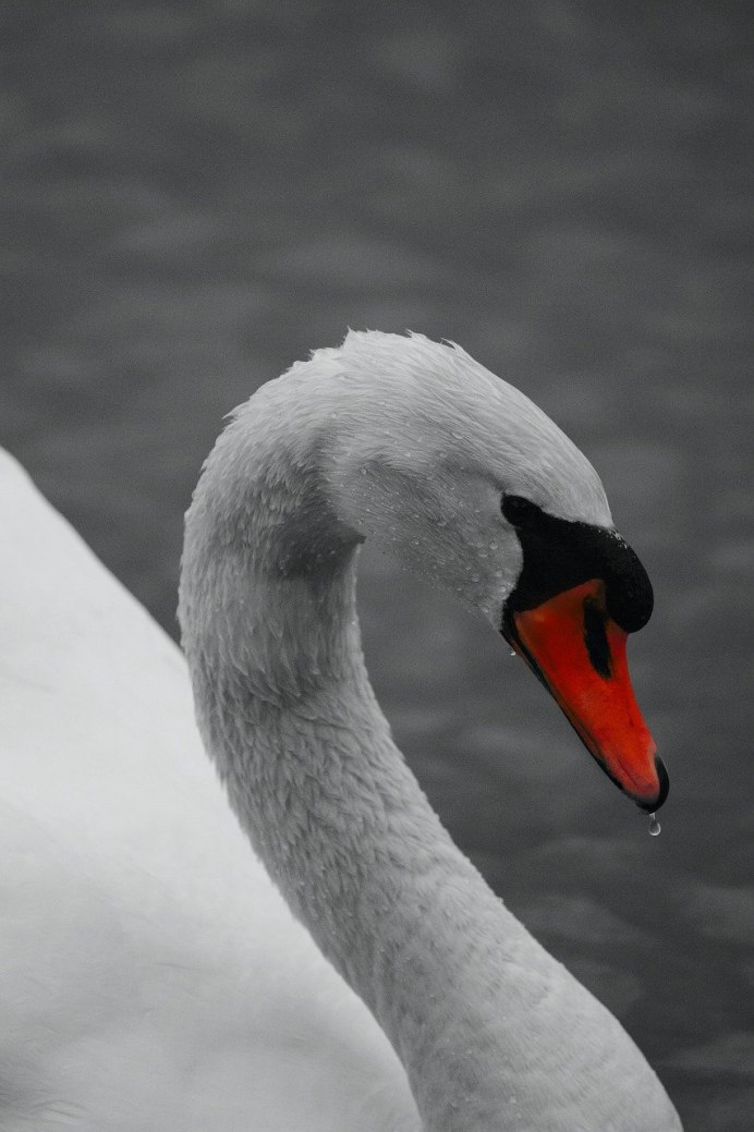 Красивые обои на рабочий стол